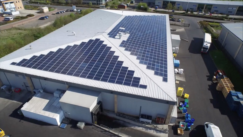 Albert Darnell Ltd. produce autonomamente l'energia necessaria per le operazioni di lavorazione del pesce con un impianto da 185 kWp sul tetto